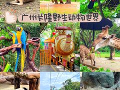 -广州长隆野生动物世界