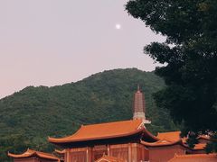 -深圳仙湖植物园