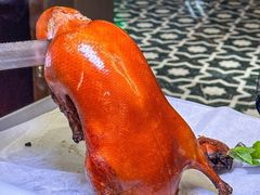 -秀儿四九城·新京菜(亚运村鸟巢店)