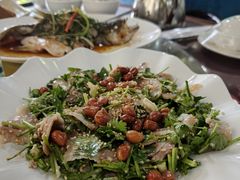 -东鸽皇(奥园·中环广场店)