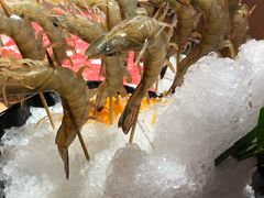 深水虾-尚海豆捞(乐虹坊店)