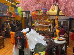 -吉祥圣雪藏餐