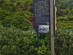 -北仑森林植物园