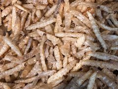 -昆虫窝子·特色云南菜(拓东路总店)
