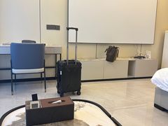 -榆扉·高空City View府邸(广州天河珠江新城正佳广场旗舰店)