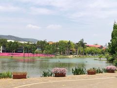 -湖泉半山温泉