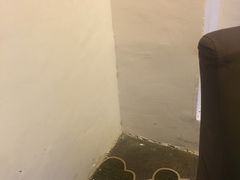 -巴陵全鱼席(湖南老字号汴河街店 )