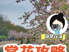 -元大都城垣遗址公园