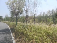 -西安石油大学(雁塔校区)
