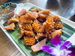 -金孔雀德宏傣味餐馆(魏公村店)