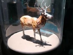 -中国湿地博物馆