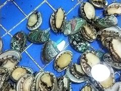 -皇朝海鲜酒店