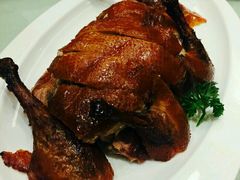 脆皮小乳鸭-圆苑(上海广场店)