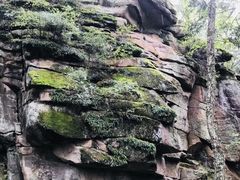 -汤旺河林海奇石景区