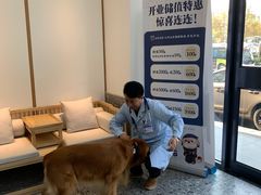 -萌兽医馆·绝育·24小时内科·宠物医院(德胜店)