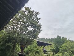 -大唐贡茶院