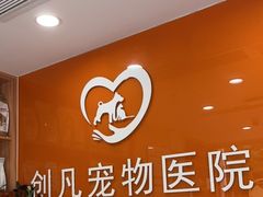 -创凡宠物医院·骨专科  猫科中心(西乡分院)