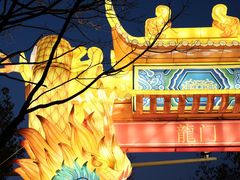 -武汉园博园(武汉自然博物馆)