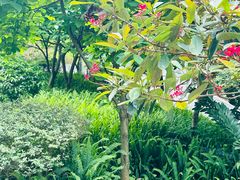 -广州市白云山风景名胜区