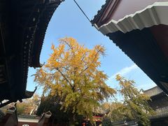 -长春观
