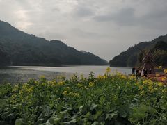 -广州市石门国家森林公园