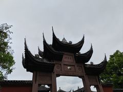 -南山植物园