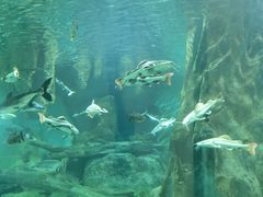 -福州罗源湾海洋世界旅游区