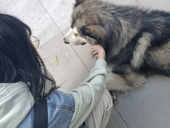 -李小姐の猫咖啡馆(五角场店)