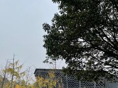 -知美术馆