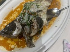 -老洋房花园饭店(绍兴路店)