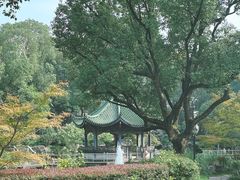 -申粤轩酒楼·三十年粤菜经典(丁香花园店)