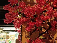 -前海沿·青岛菜(李沧万达店)