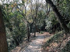 -上海佘山国家森林公园天马山园