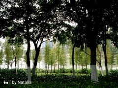 -怡海公园(桂城街道)