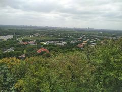 -上海佘山国家森林公园西佘山园