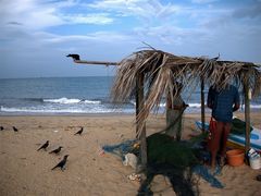 -尼甘布海鲜市场