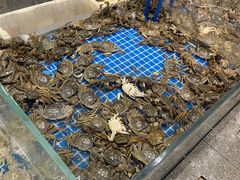 -半岛听涛蒸汽海鲜自助(K11店)