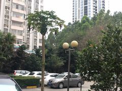 -惠州康帝国际酒店