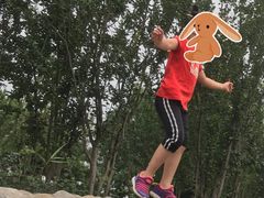 -黄村公园