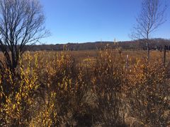 -塞罕坝国家级自然保护区