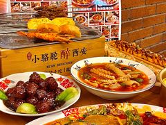 -福苗小骆驼烧烤(莲湖路店)