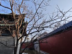 -盐池神庙