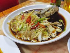 -煲来饱去冷水鱼