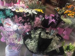 -宝鸡东道花鸟鱼虫市场(吉利花园商场店)