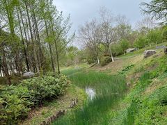 -镇江市南山风景名胜区竹林景区