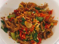 -壹盏灯(惠农店)