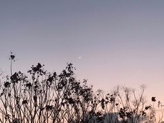 -绍兴镜湖国家城市湿地公园