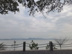 -深圳湾公园(南山区)