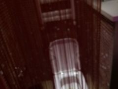 picture-天鹅恋