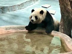 -青藏高原野生动物园